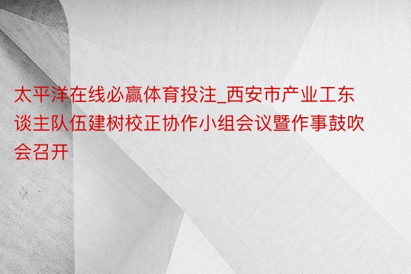 太平洋在线必赢体育投注_西安市产业工东谈主队伍建树校正协作小组会议暨作事鼓吹会召开