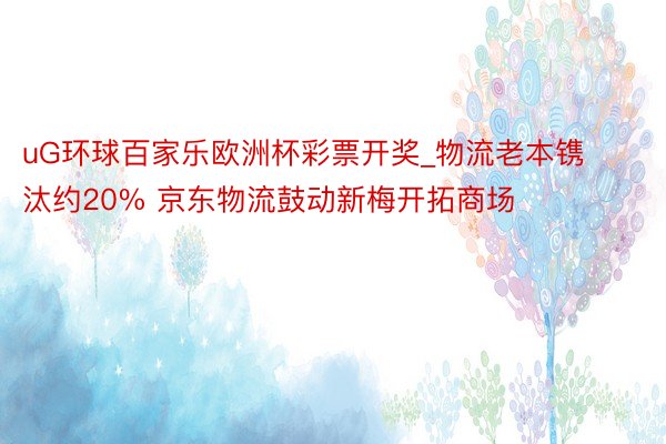 uG环球百家乐欧洲杯彩票开奖_物流老本镌汰约20% 京东物流鼓动新梅开拓商场