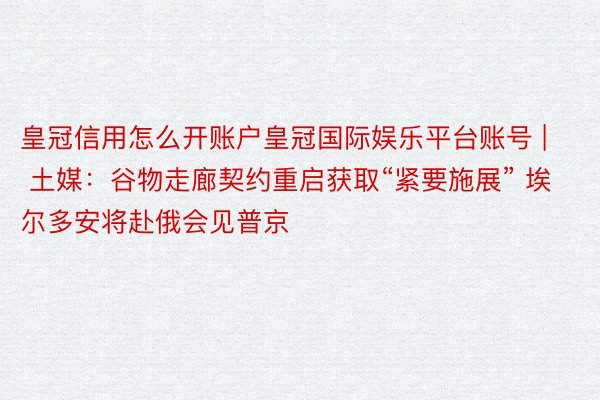 皇冠信用怎么开账户皇冠国际娱乐平台账号 | 土媒：谷物走廊契约重启获取“紧要施展” 埃尔多安将赴俄会见普京